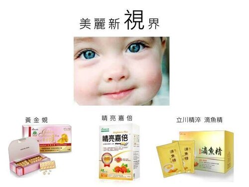 綠川黃金蜆 - 第一飛翔國際股份有限公司 品牌形象