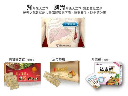 綠川黃金蜆 - 第一飛翔國際股份有限公司 品牌形象