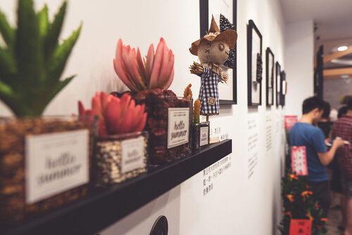 植作茶 ZHI ZUO CHA 品牌形象