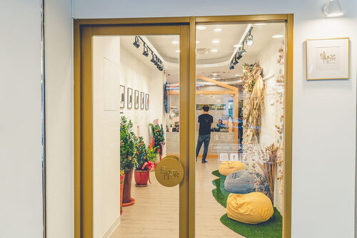 植作茶 ZHI ZUO CHA 品牌形象