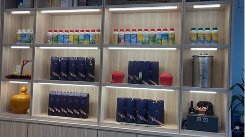 養生美人 品牌形象