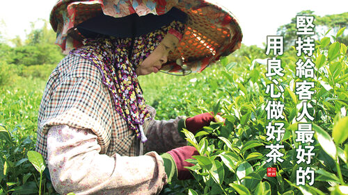 三兩茶 台灣高山手採現泡茶飲 品牌形象