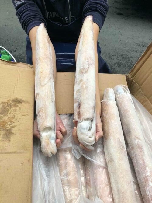 拚鮮海產泡飯 產品介紹