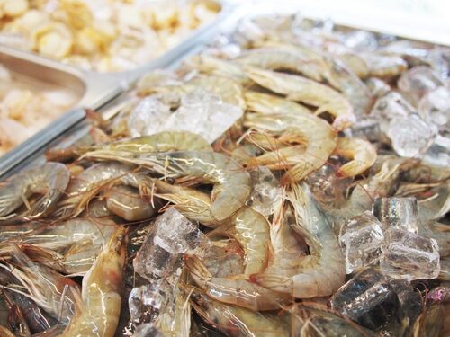 拚鮮海產泡飯 產品介紹