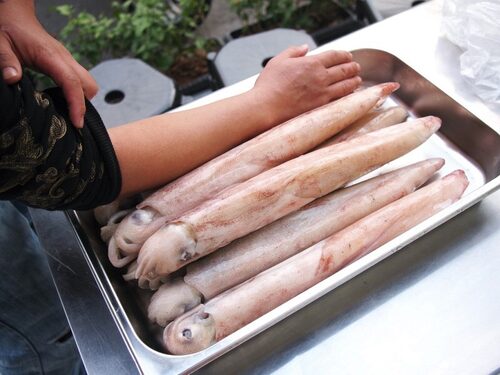 拚鮮海產泡飯 產品介紹
