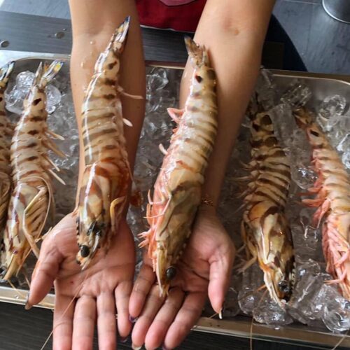 拚鮮海產泡飯 產品介紹