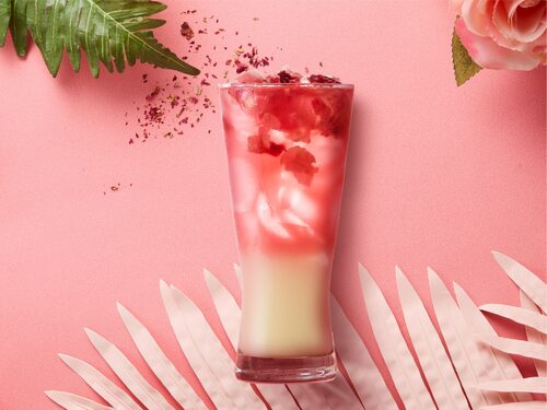 樂台羽茶 產品介紹