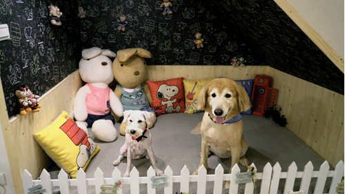 私嚐吃飯 品牌形象