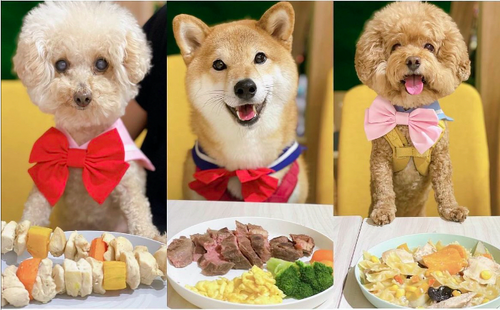 私嚐吃飯 品牌形象