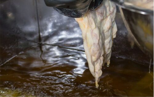 厚一點雞排 專賣店 品牌形象