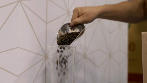 卡拉紅茶 品牌形象