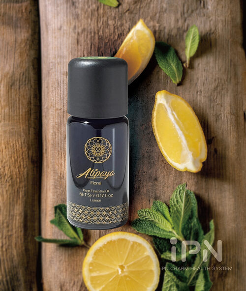 iPN無限充能站 產品介紹