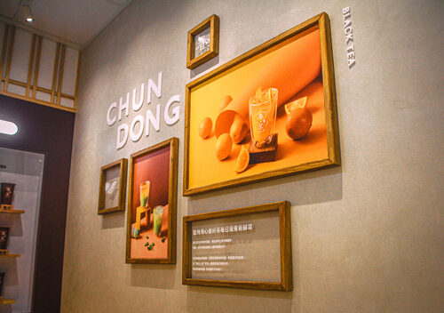 春苳紅茶 品牌形象