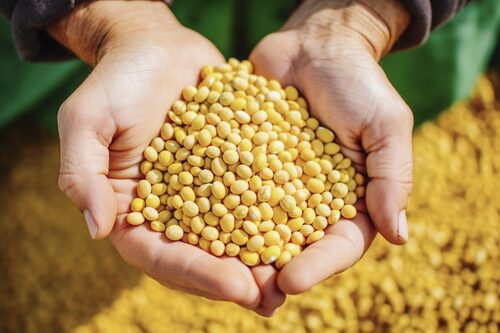 臭美系長沙臭豆腐 品牌形象