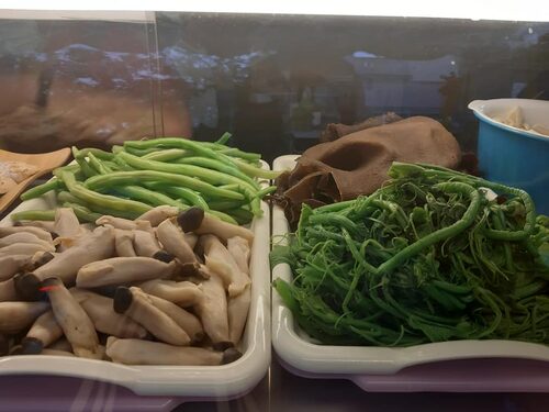 舟董鹽水雞 品牌形象