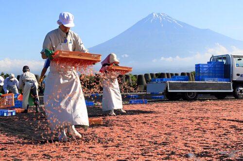 父山白俠  粥品專賣店 品牌圖片 #3