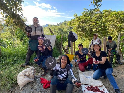 黑沃咖啡 品牌形象