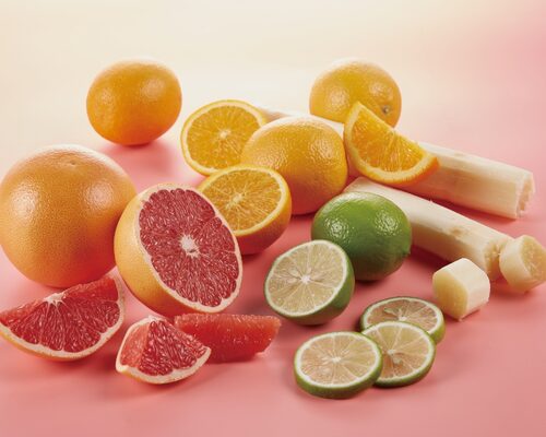 COYTEA 嗑以茶 產品介紹