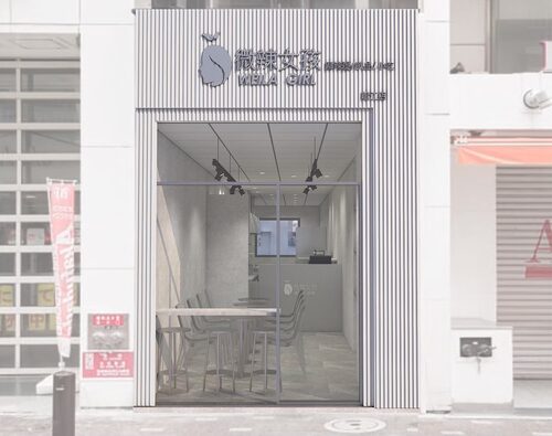 微辣女孩 Weilagirl 品牌形象