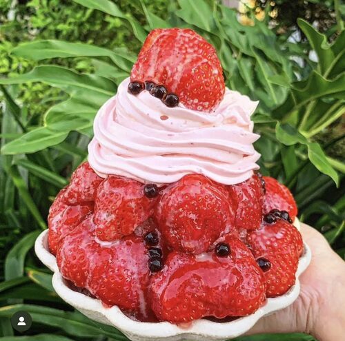 清水堂 產品介紹