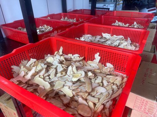 大頭雞薑片茶油雞 產品介紹