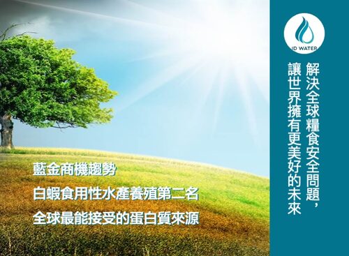 艾養蝦 品牌形象