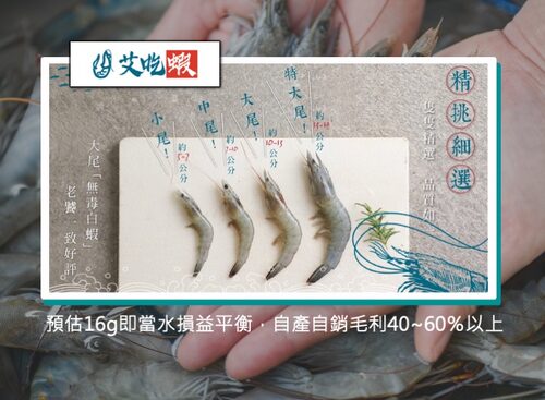 艾養蝦 產品介紹