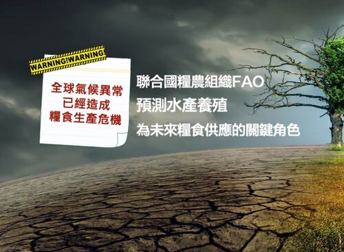 艾養蝦 品牌形象